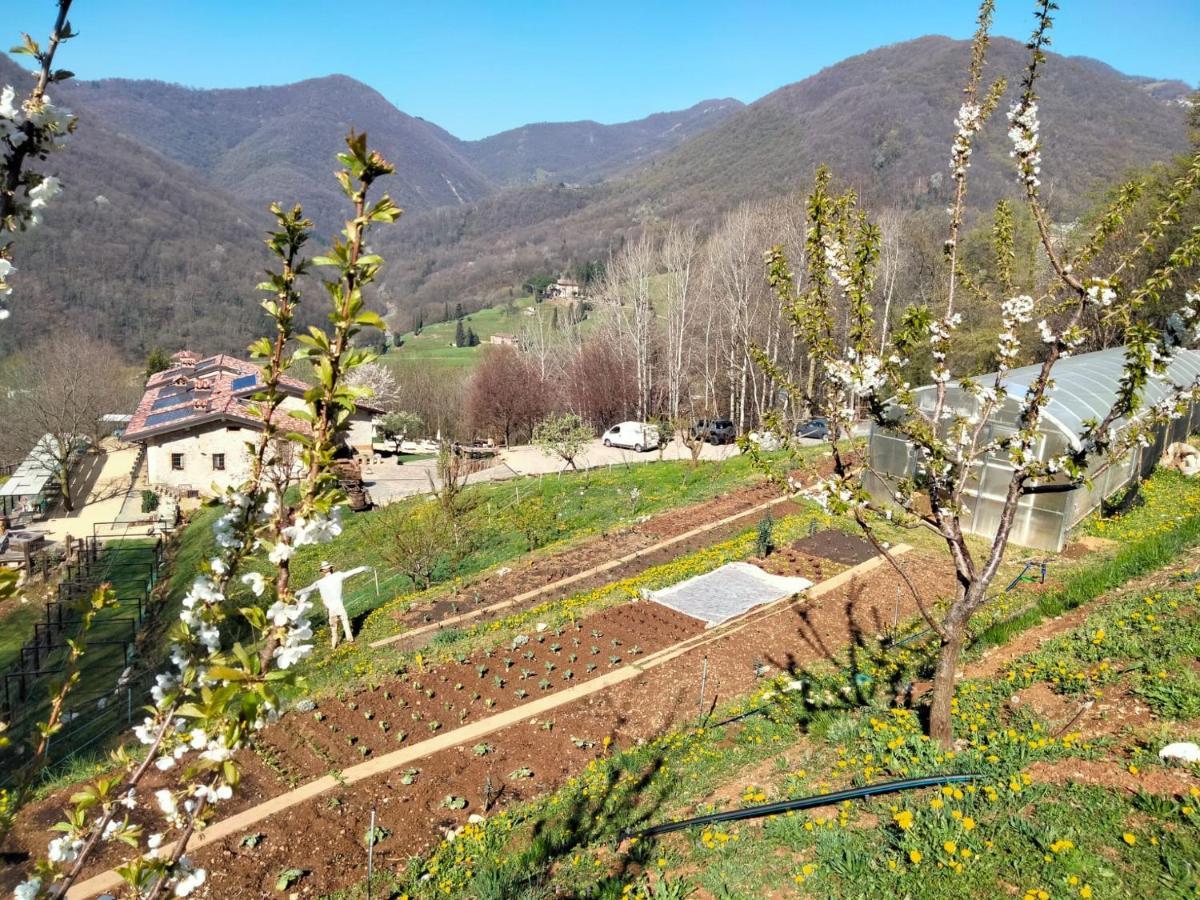 Agriturismo Ca' Fenile Alzano Lombardo Екстер'єр фото