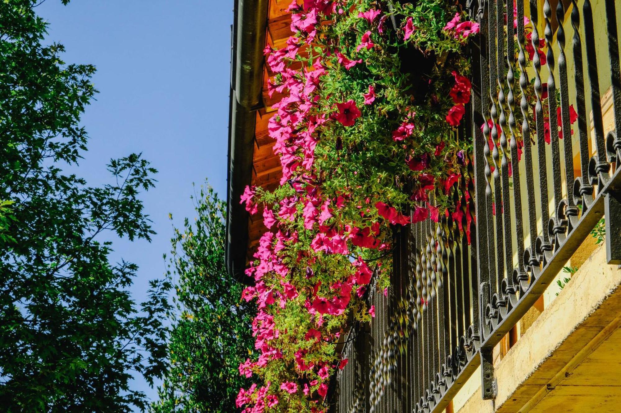 Agriturismo Ca' Fenile Alzano Lombardo Екстер'єр фото